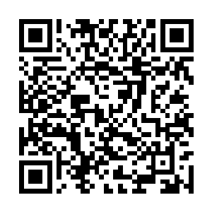 没想到这么短的时间竟然也达到了神王中期的修为二维码生成