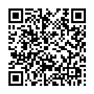 没有一个元老会通过这个计划……因为他们自己就是S级高手二维码生成