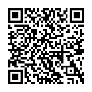 没有人将这个看起来古古怪怪的白发人放在心里二维码生成