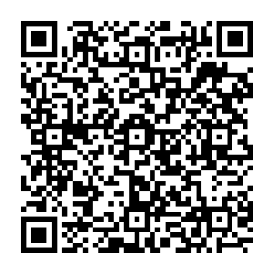 没有人知道整个岛屿的整体建造图纸早已经完全上传到星空科技研发中心的大型服务器中二维码生成