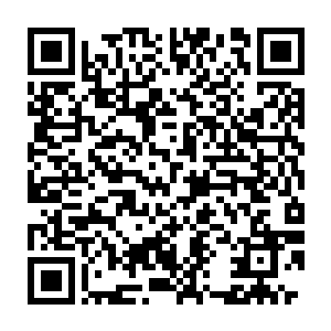 没有切萨雷你根本无法读剧本――我怀疑后两条的编造者刚从汤姆二维码生成