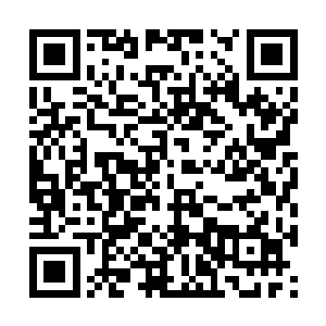 没有发现其它异常就把你的档案归类于无用一档了二维码生成