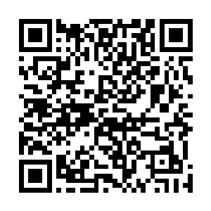 没有哪一个宗门还拿出比他们还要高的实力在追杀他们的二维码生成