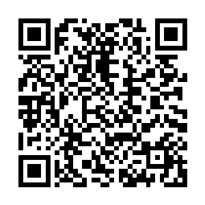 没有想到他向来严肃古板的十九叔居然问了这么一个幼稚的问题二维码生成