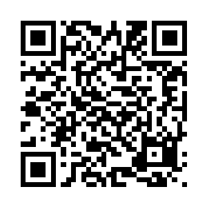 没有想到这么快就吸引了一条大鱼二维码生成