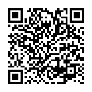 没有跟他深接触过的人肯定会被他的表面所迷惑二维码生成