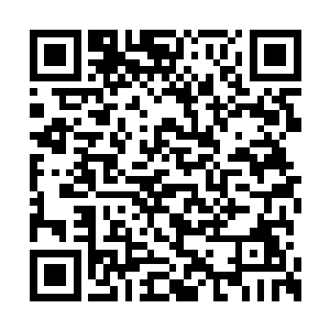 没有金丹期的实力到了魔修城称得上是自寻死路二维码生成