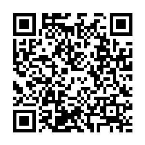 没有韩国战队的s1远古时代中获得了s1的世界冠军二维码生成