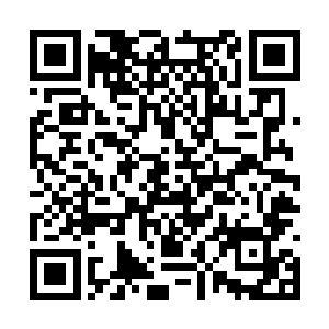 没种动物都懂得如何利用自然的环境来更好地生存二维码生成