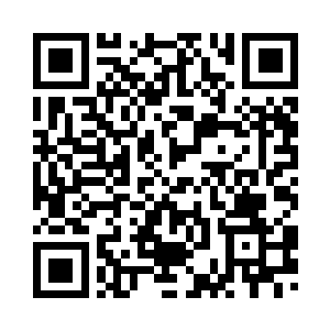 沿着来时的道路再次走回湿地之中二维码生成