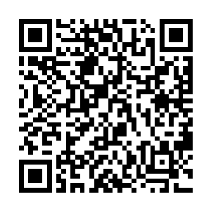 泉水之中蕴含着大量的灵气也融入池佳一的身体之中二维码生成