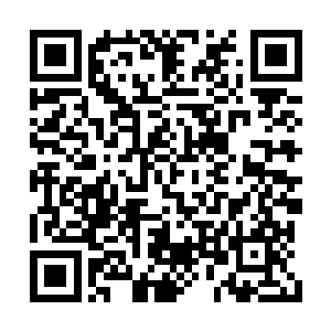 法眼看到了带头的正是刚才被自己处置过的苗毅二维码生成