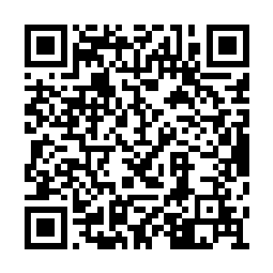 洒落残留在仙界的魂魄精元还是无比的浑厚浩大二维码生成