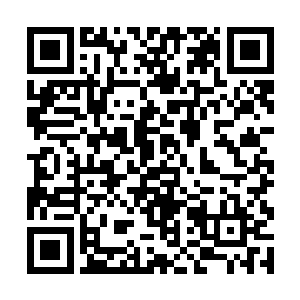 洛倾婉毫不客气的把自己需要丹药的事情告诉了韩奕二维码生成