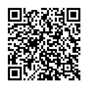 洛悠悠不顾三七二十一用力把萧逸升拖进了赌坊二维码生成