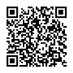 洛离发现了混元宗隐藏在灵光丝化形模板图中的秘密二维码生成