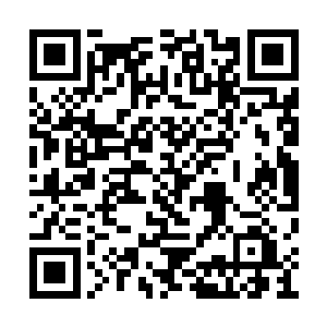 洛离拿出在地渊土灵宗宝库得到的铁架子和铭牌二维码生成