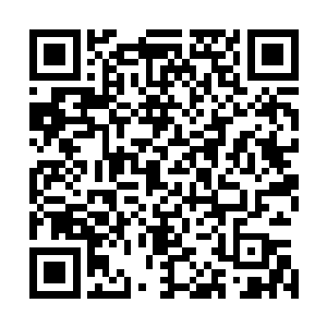 洪涛其实也不知道自己能不能像后世里的花家怡园那样成功二维码生成