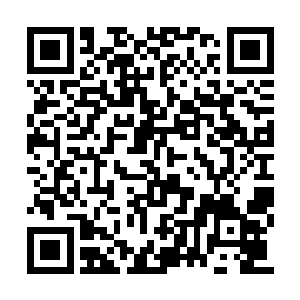 洪涛看着韩雪给自己妹妹找到工作之后那个表情二维码生成