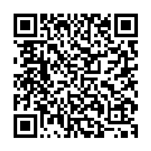 派了一个弟弟过来支撑场面本身就有看不起这位拗相公的嫌疑二维码生成