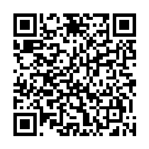 派对公司的服务生已经穿梭在先期过来的十几位宾客之间二维码生成