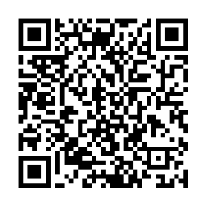 流云有些目瞪口呆地看着头顶之上被震落的红色枫叶二维码生成