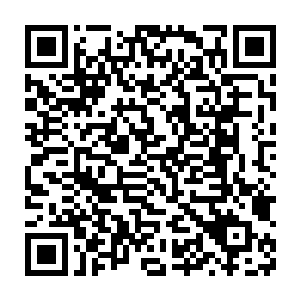 流墨墨不放心的从一棵树的根部扯下一些坚韧的树藤把火把又缠了缠二维码生成