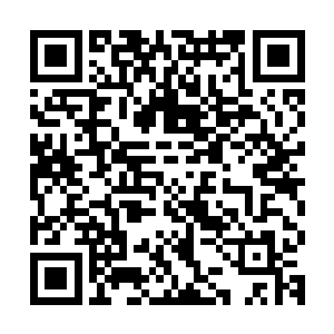 流墨墨他们进入山洞后倒是很快就找到了之前他们进来时的洞口二维码生成