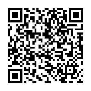 流墨墨倒是想起了曾经敖无暇表现出来的对凤凰族的异样二维码生成