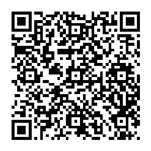 流墨墨皱眉看着他有些浮躁不怎么扎实的经脉在用了两枚筑基丹后似乎还是差了一大截二维码生成