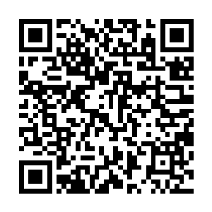 流墨墨终于把格塔娜以及时间能力基本的情况普及给了众宠二维码生成