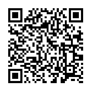 流墨墨翻出在麒麟巢穴意外收获的储物戒指开始搜刮起来二维码生成