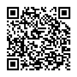 浑身散发着一种让人甘之如饴的亲和感的年轻女子二维码生成