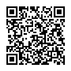 消化掉这所谓的能量恢复方式的信息李大可也就明白了二维码生成