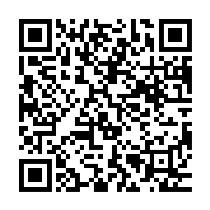 深呼吸了一下……就看到了顶着大太阳在花园里辛勤劳作的霸天二维码生成