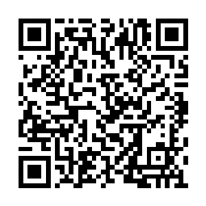 深度也几乎贯穿了巨蟒那如同火车头一般的头颅二维码生成