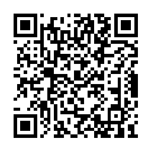 混元宗如果可以庇护灵蝶宗那就是天大的福分了二维码生成