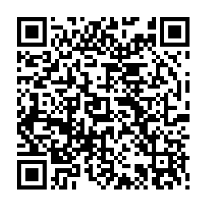 混沌分身灵魂一千年来的经验对于火系分身的灵魂来说自然而然的也是经验二维码生成