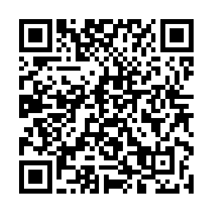 清乐自知龙弦跟围着她转的那些没脑子的男人不一眼二维码生成