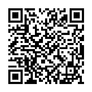 清庭的红单船也发现了顺流而下的百多条小渔船二维码生成