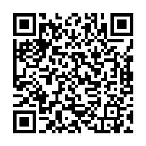 清心低眉望了底下已经被极大延缓了流速的河水一眼二维码生成
