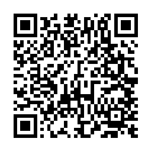 游含丝毫不怀疑那双在阳光下闪耀着寒光的翅膀的杀伤力二维码生成