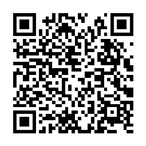 游戏仅开放单人生存模式以及自由探索模式的队列二维码生成