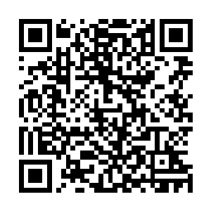 湛天丞还是鼓足勇气问出了心中那个困扰他好一阵子的问题二维码生成