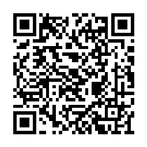 溢流大师丛自己的须弥戒中一连取出十几个阵盘二维码生成