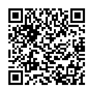 满心期待自己能被那高来高去的天人们一眼相中二维码生成