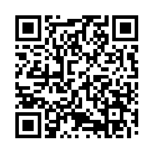 满脸憋笑的看着一脸可怜巴巴样子的墨二维码生成