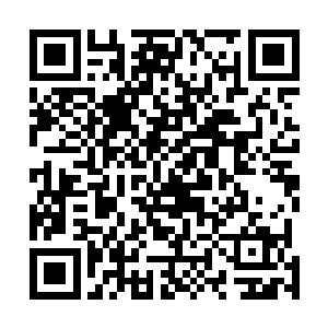 满面春风的杜傲天在台上不断的向自己的外援们微笑致意二维码生成