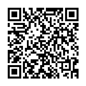 演员的演技和剧情硬生生的让他击破了那些制作精良的电视剧二维码生成