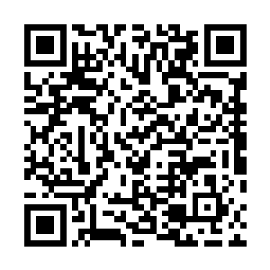 演技与歌舞功底是出演维尔玛和洛克希的演员必备的条件二维码生成